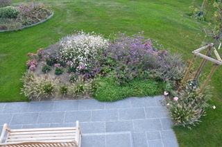 Natuurlijke tuinaanleg met diverse beplanting